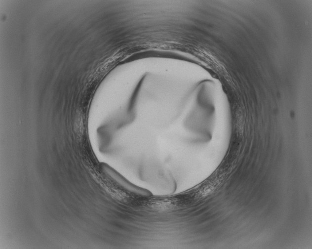 X0000068270405200605191833