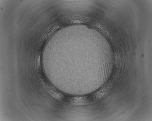 X0000068270406200605191833