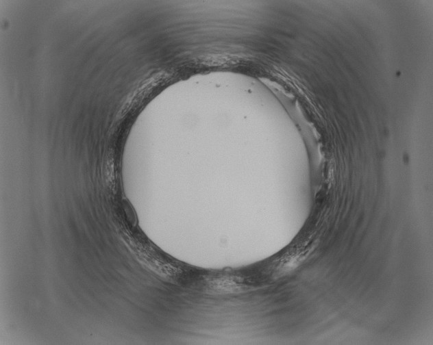 X0000068270407200605191833