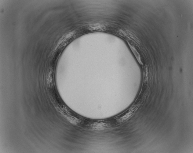 X0000068270408200605191833