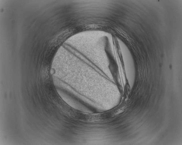 X0000068270410200605191833