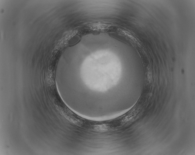 X0000068270411200605191833