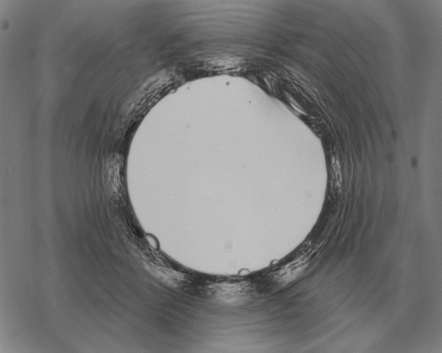 X0000068270412200605191833