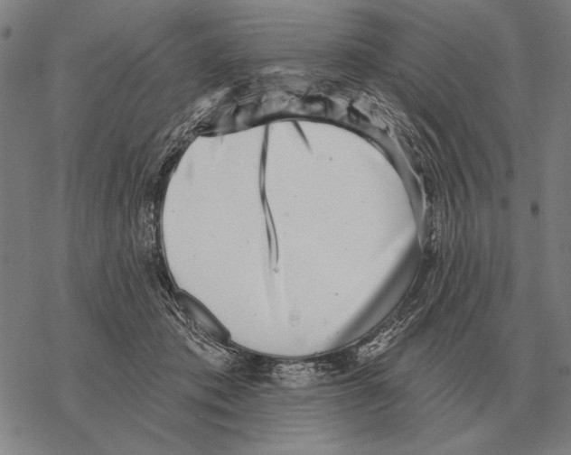 X0000068270413200605191833