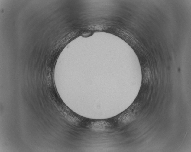 X0000068270414200605191833