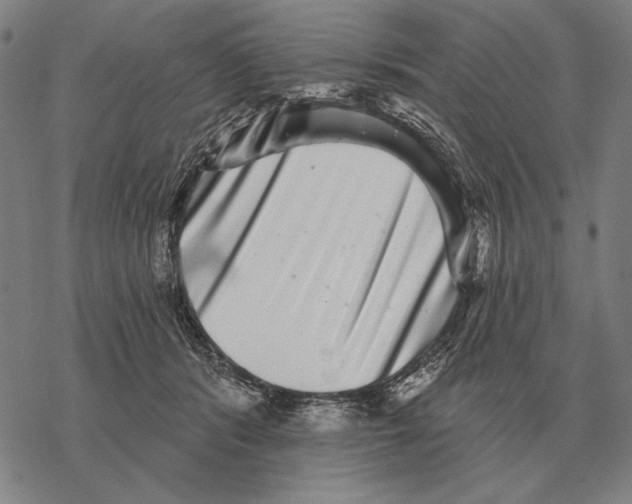 X0000068270416200605191833