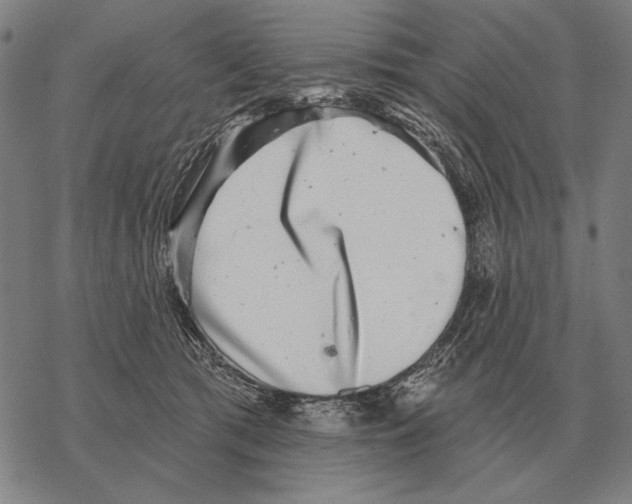 X0000068270417200605191833