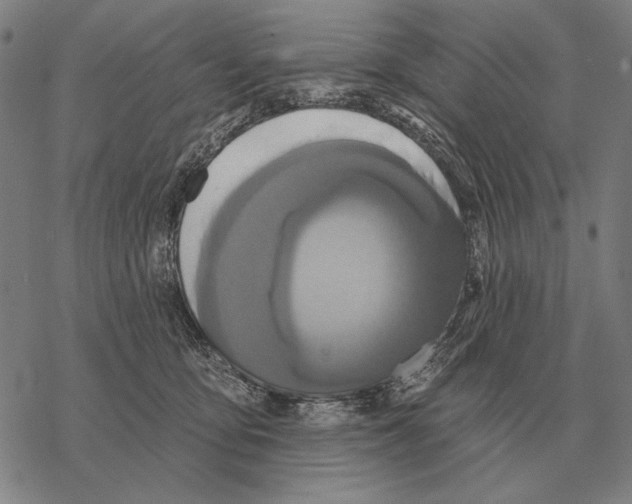 X0000068270419200605191833