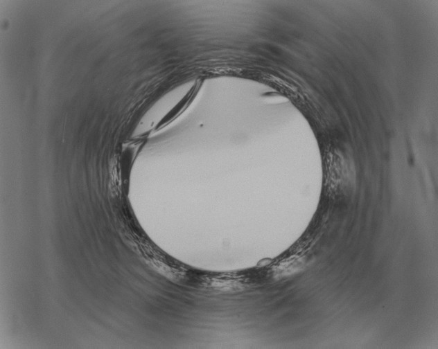 X0000068270420200605191833