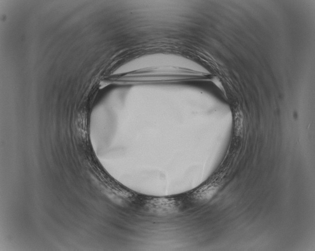 X0000068270421200605191833