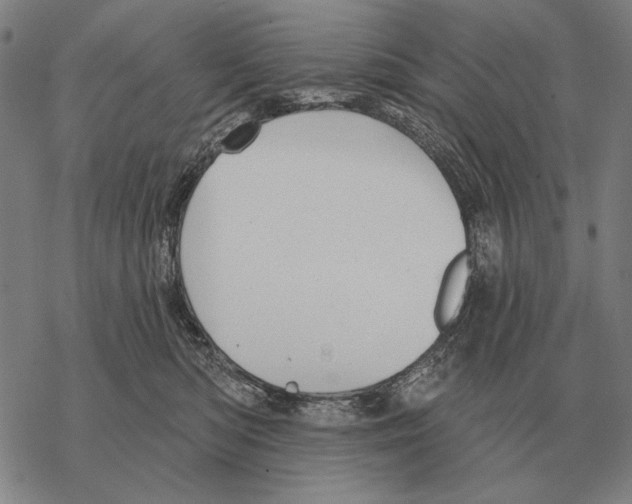 X0000068270422200605191833