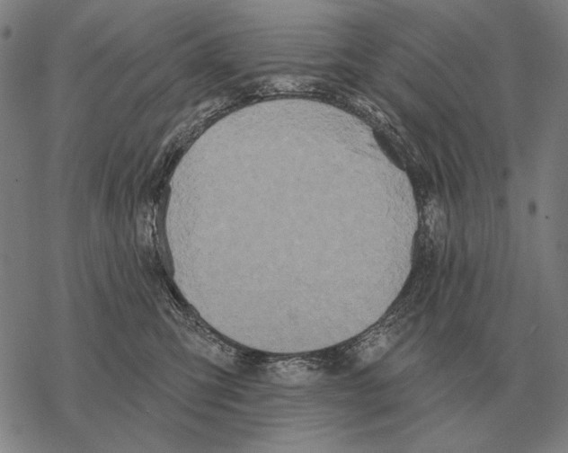 X0000068270423200605191832