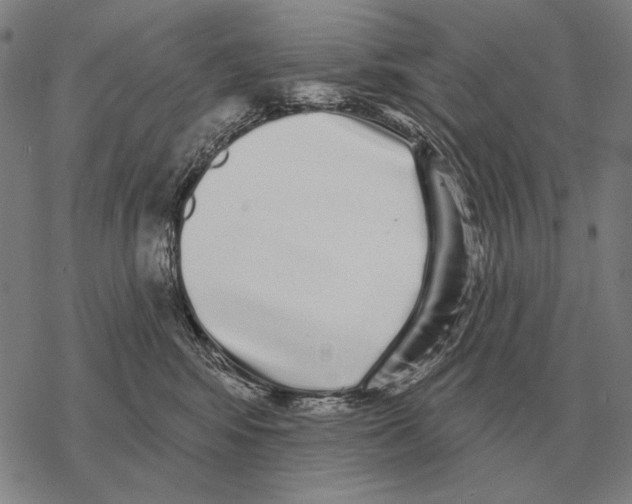 X0000068270424200605191832