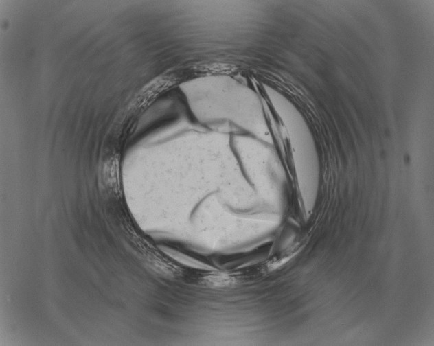 X0000068270425200605191832