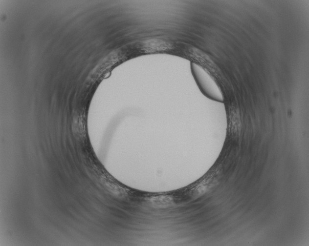 X0000068270426200605191832