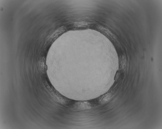 X0000068270427200605191832