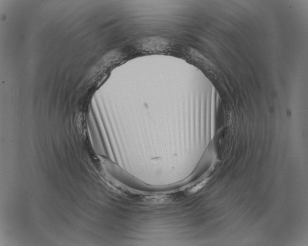 X0000068270428200605191832