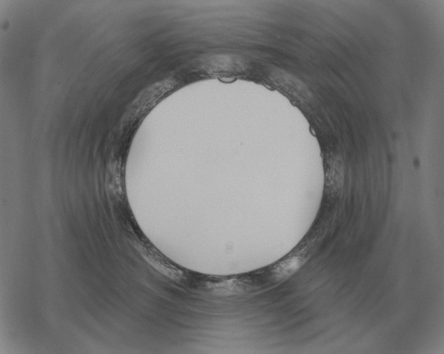 X0000068270430200605191832