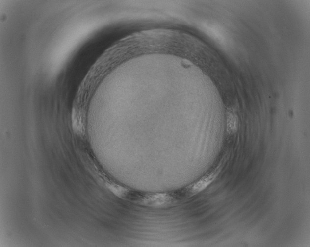 X0000068270431200605191832