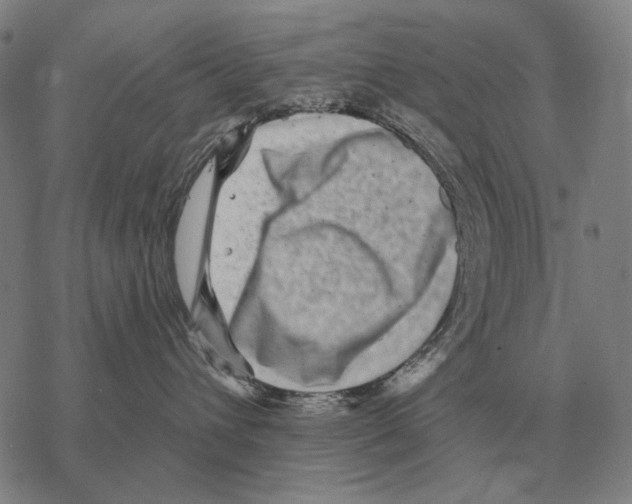 X0000068270432200605191832