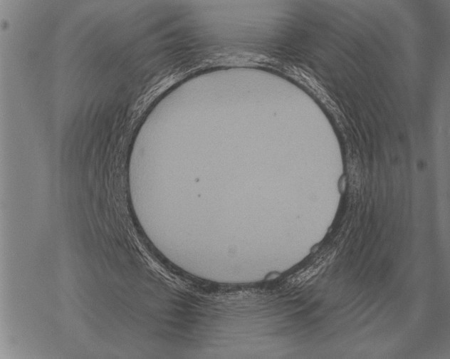 X0000068270433200605191832