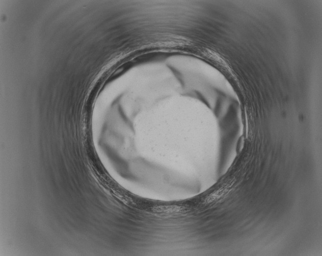 X0000068270435200605191832