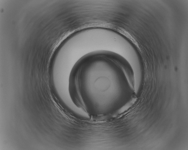 X0000068270436200605191832