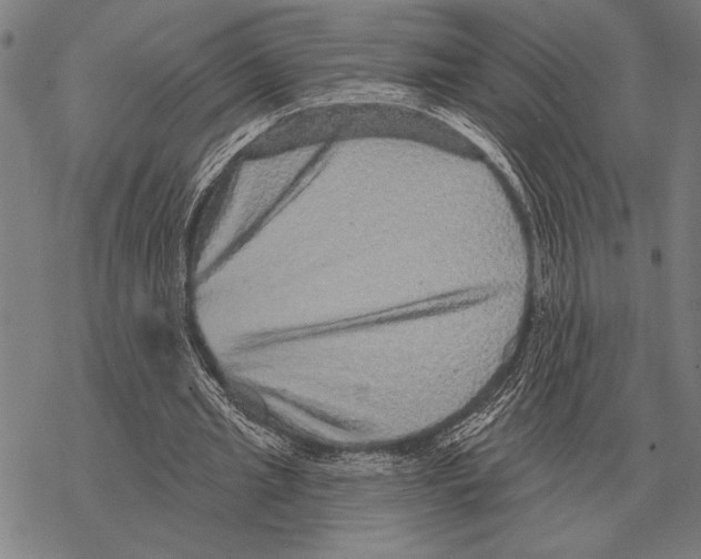 X0000068270437200605191832