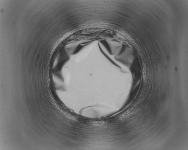 X0000068270438200605191832