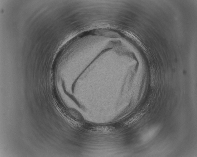 X0000068270439200605191832