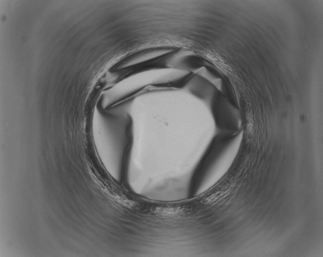 X0000068270440200605191832