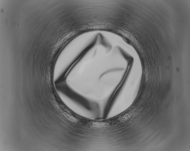 X0000068270442200605191832