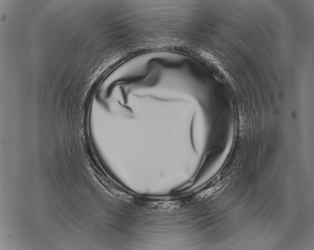 X0000068270443200605191832