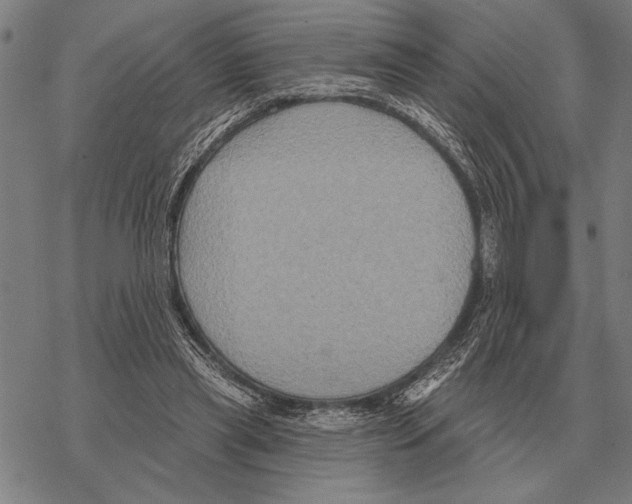 X0000068270445200605191832