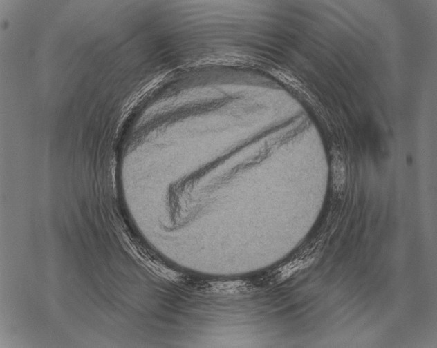 X0000068270446200605191832