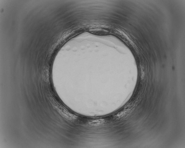 X0000068270447200605191832