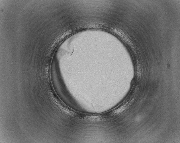 X0000068270449200605191832