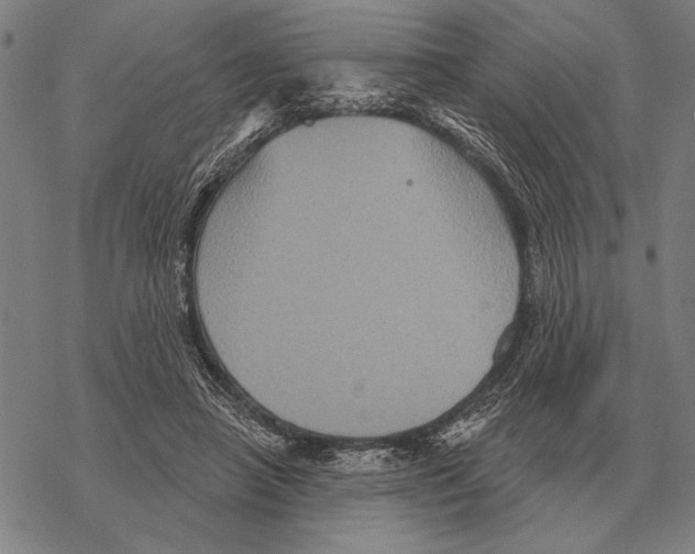 X0000068270450200605191832