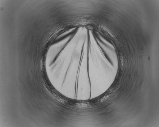 X0000068270451200605191832