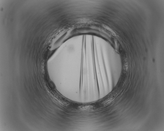 X0000068270452200605191832