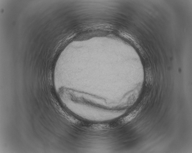 X0000068270453200605191832