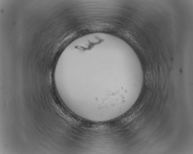 X0000068270454200605191832