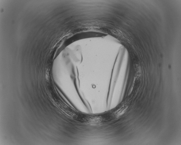 X0000068270456200605191832