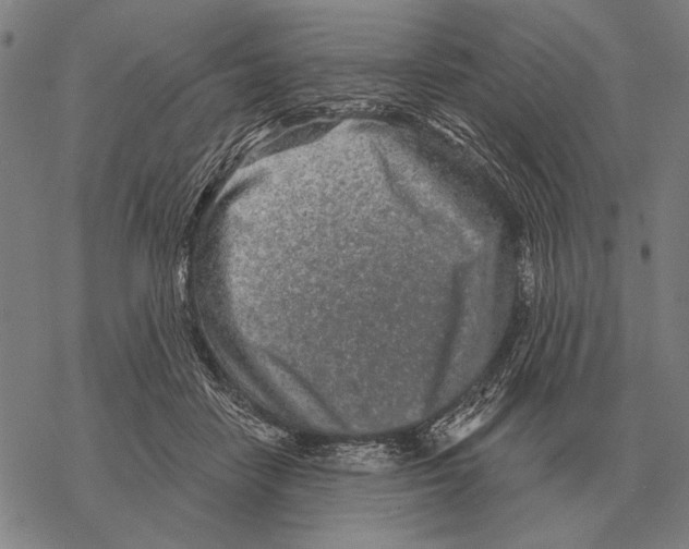 X0000068270458200605191832