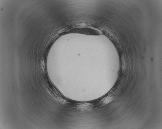 X0000068270459200605191832