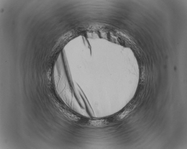 X0000068270461200605191832