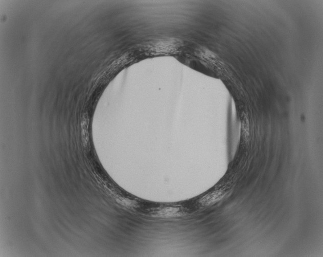 X0000068270462200605191832