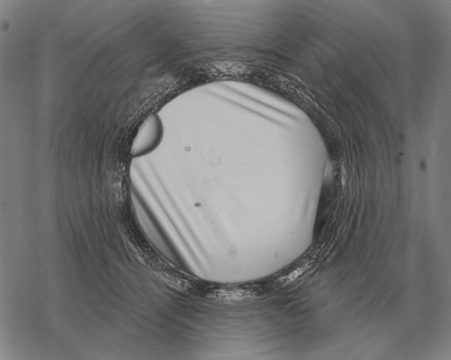 X0000068270464200605191832