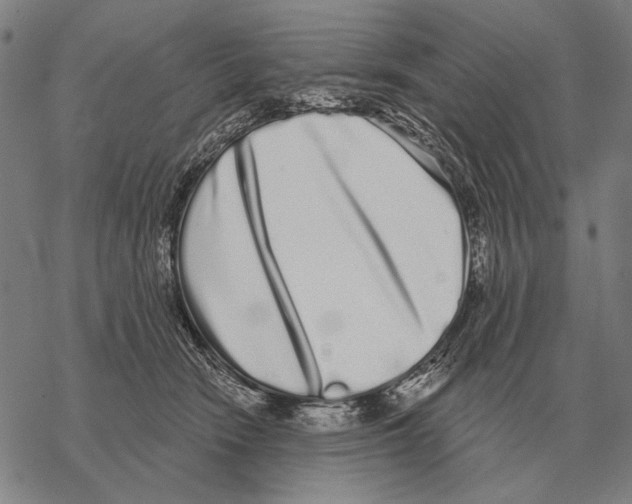 X0000068270466200605191832