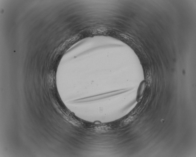 X0000068270468200605191832